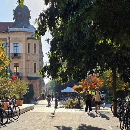 Centre Piac Flat شقة