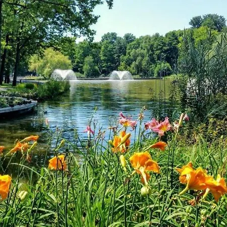 شقة Centre Piac Flat ديبريتْسين