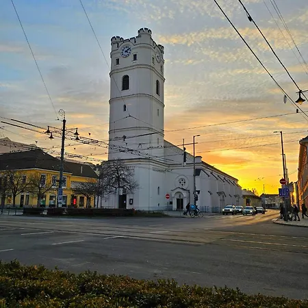 شقة Centre Piac Flat *